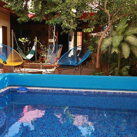 Hostal La Tortuga Booluda León Εξωτερικό φωτογραφία